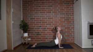ylöspäin katsova koira asana