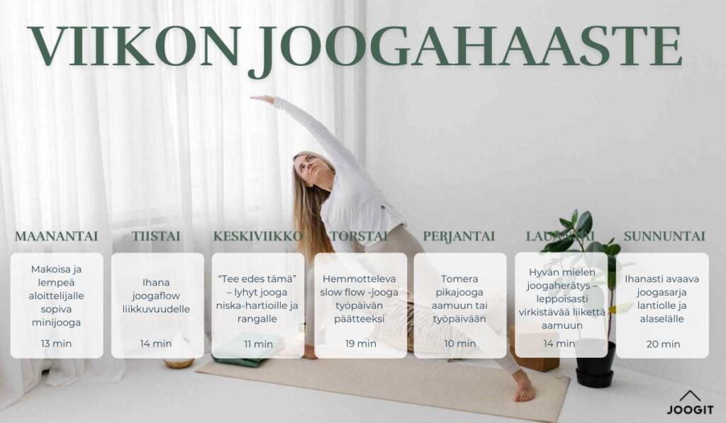 joogahaaste