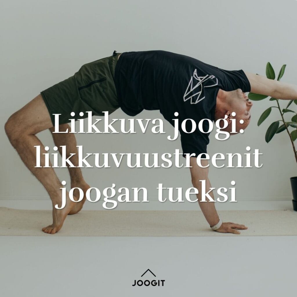liikkuva joogi liikkuvuus kurssi