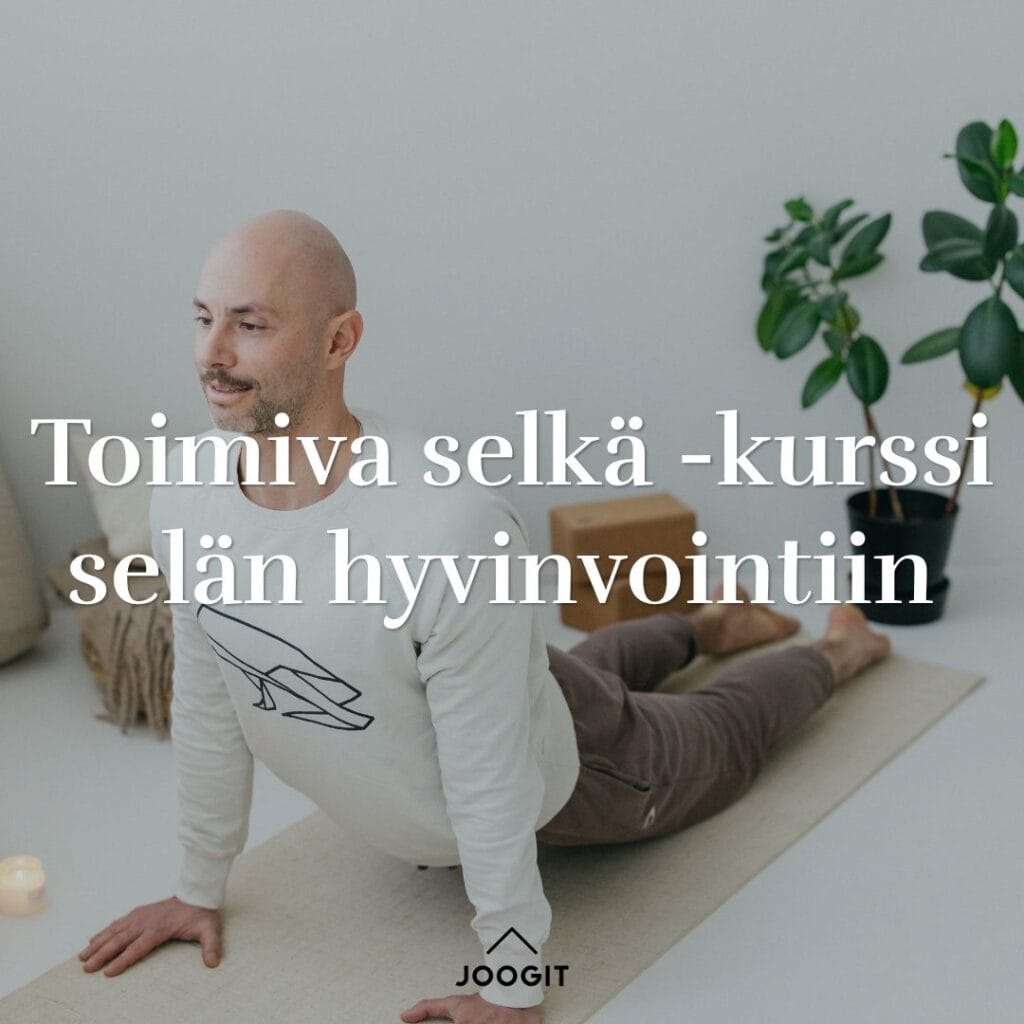 toimiva selkä kurssi selälle
